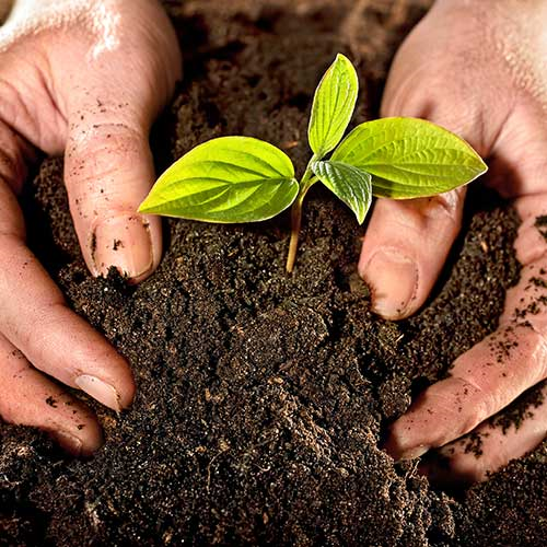 精智WordPress主题