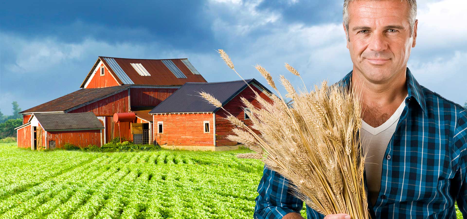 精智WordPress主题