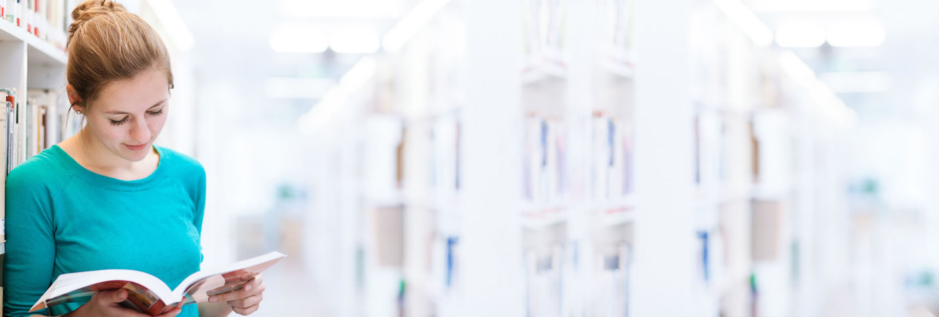 开发WordPress插件