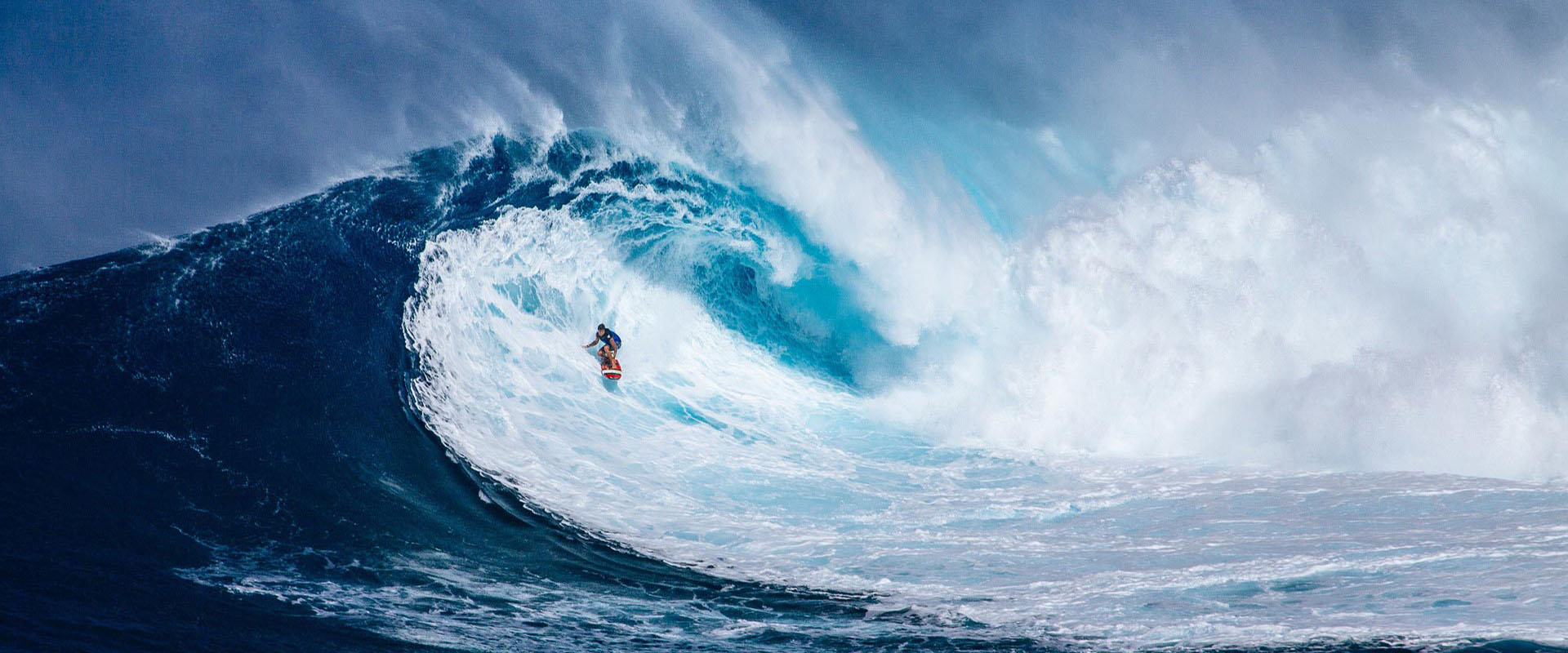 开发WordPress插件